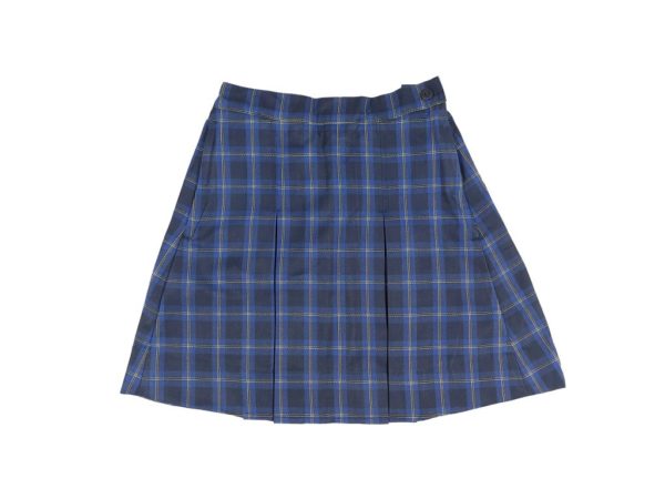 Girls Winter Skirt
