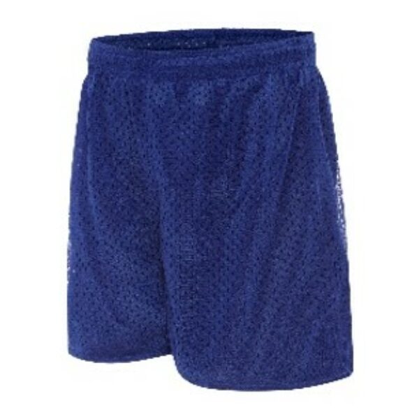 Royal Mesh Sport Shorts