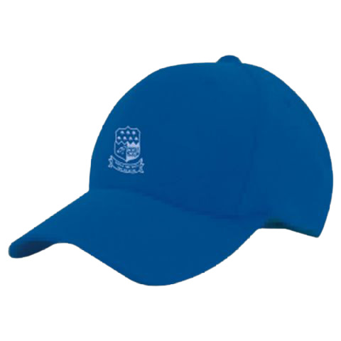 hat with w logo